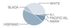 San Joaquin County Special Education School Student Race Distribution