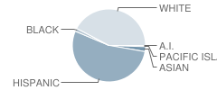 Santa Barbara County Special Education School Student Race Distribution