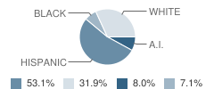 Sonoma County Court School Student Race Distribution