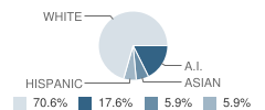 Mccarthy Center / Community School Student Race Distribution