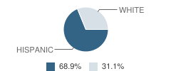 Adelante High School Student Race Distribution