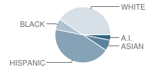 Valley Teen Ranch Community Day School Student Race Distribution