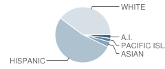 Paradise Charter School Student Race Distribution