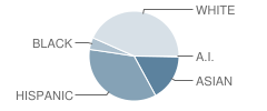 Rancho Rosal Elementary School Student Race Distribution