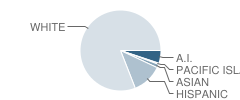 Alder Grove Charter School Student Race Distribution