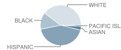 Laverne Elementary Preparatory Academy Student Race Distribution
