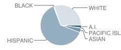 Harmony Magnet Academy Student Race Distribution