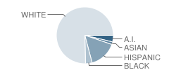 Fort Jones Elementary School Student Race Distribution