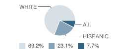 Scott River High School Student Race Distribution