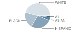 Miles P. Richmond School Student Race Distribution