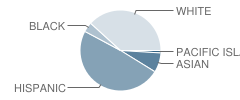 Everest Public High School Student Race Distribution