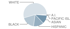 Antioch Charter Academy Ii Student Race Distribution