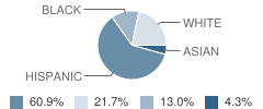 Crossroads Trade Technology Charter School Student Race Distribution