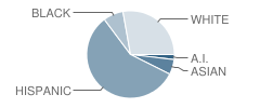 Juan Bautista De Anza School Student Race Distribution