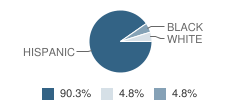 Eje Middle Academy Student Race Distribution