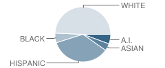 Academy for Change Student Race Distribution