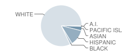 Da Vinci Charter Academy Student Race Distribution