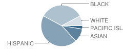 Rosie the Riveter Charter High School Student Race Distribution