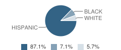 Colegio New City School Student Race Distribution