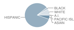 Helen Bernstein High School Student Race Distribution