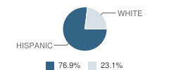 Sherman Thomas Charter High School Student Race Distribution