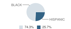 Barack Obama Academy Student Race Distribution