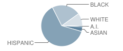 West County Community High School Student Race Distribution