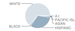 Mesa View Middle School Student Race Distribution