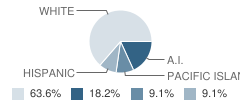 Nevada County Academy of Learning Student Race Distribution