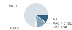 Sacramento River Discovery Charter School Student Race Distribution