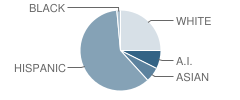 University Preparatory High School Student Race Distribution