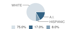 Uncharted Shores Academy Student Race Distribution