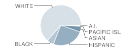 Academy for Academic Excellence Student Race Distribution