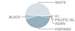 David A. Brown Middle School Student Race Distribution