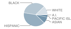 Leroy F. Greene Middle School Student Race Distribution