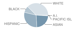 Discovery Charter School Student Race Distribution