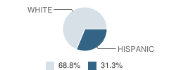 Independence Continuation High School Student Race Distribution