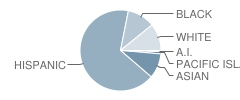 Tracy (Wilbur) High (Continuation) School Student Race Distribution