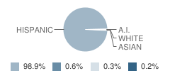 Alisal Community School Student Race Distribution