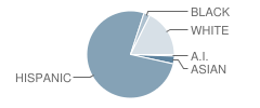 Oasis Charter Public School Student Race Distribution