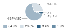 Alvina Elementary Charter School Student Race Distribution