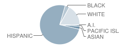 Gilbert High (Continuation) School Student Race Distribution