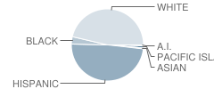 Polaris High (Alternative) School Student Race Distribution