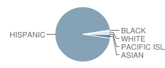 De Anza Elementary School Student Race Distribution