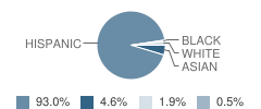 Foster Elementary School Student Race Distribution