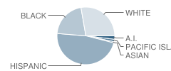 Central High (Continuation) School Student Race Distribution