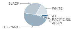 Thomson Elementary School Student Race Distribution