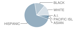 Somerset Continuation High School Student Race Distribution