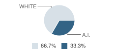 Eureka Dunes High School Student Race Distribution