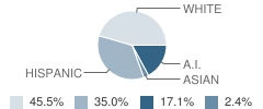 Pine Street Elementary School Student Race Distribution